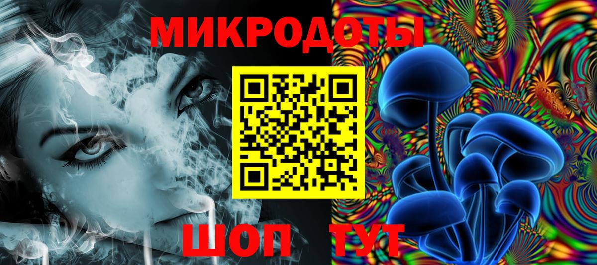 что такое   Вход с VPN  Реутов  Галлюциногенные грибы Psilocybine cubensis  Псилоцибиновые грибы мухоморы 